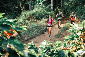 BIB: 
                            <button type="button" onclick="openModal(25848773)" class="btn btn-primary btn-sm float-right btn-popup" data-toggle="modal" data-target=".modal-high-quality">
                        <i class="fas fa-shopping-cart"></i> Add to Cart
                    </button>
                                            <button type="button" onclick="isThisMe(25848773, true)" class="btn btn-success btn-sm float-right btn-popup btn-isme hidden" data-toggle="tooltip" data-placement="bottom" title="นี่คือรูปของคุณใช่ไหม คลิกที่นี่เพื่อเอาเข้าอัลบั้ม">
                        <i class="fas fa-plus"></i> Add to album
                    </button>
                    <button type="button" onclick="isThisMe(25848773, false)" class="btn btn-warning btn-sm float-right btn-popup btn-isnotme hidden">
                        <i class="fas fa-ban"></i> Remove from album
                    </button>